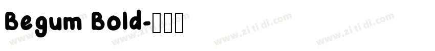 Begum Bold字体转换